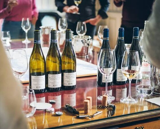 How to Host a Memorable Wine Tasting Event at Home
